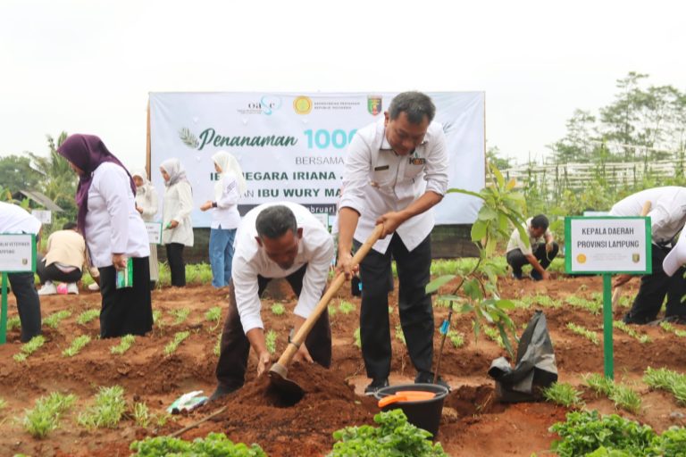 Asisten Perekonomian & Pembangunan, Kusnardi, melakukan Penanaman 1000 Pohon Buah bersama Ibu Negara Iriana Joko Widodo, Ibu Wury Ma’ruf Amin serta Ibu OASE KIM || Foto: Dinas Kominfotik Provinsi Lampung