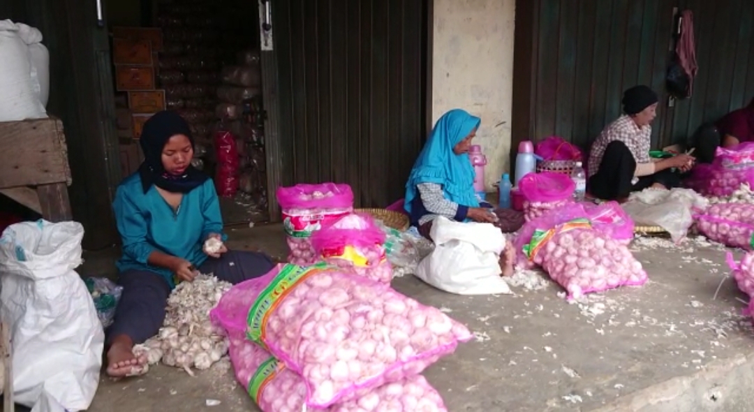 Harga Bawang di Bandar Lampung Naik | Foto: 5W1HINDONESIA.ID