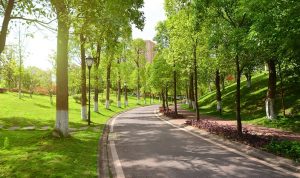 Urban Forest Cipete: Fasilitas, Tenant, dan Jam Operasional