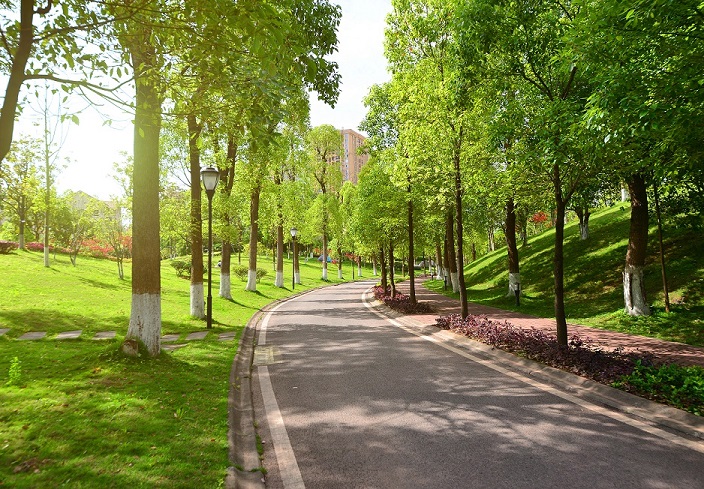 Urban Forest Cipete