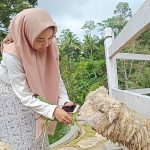 Lokasi Wisata Farm day Lampung dan Harga Tiketnya