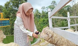 Lokasi Wisata Farm day Lampung dan Harga Tiketnya