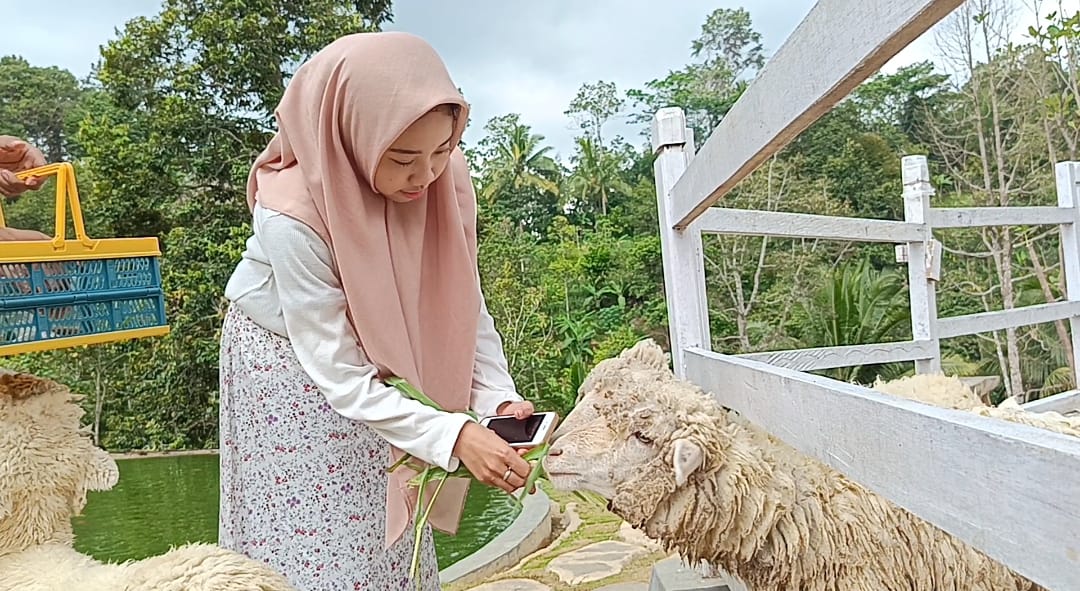 Salah satu wahana pemberian makanan ternak kambing di Farmday || Foto: 5W1HINDONESIA.ID