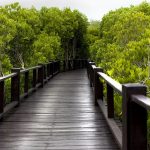 tempat wisata romantis di Jakarta