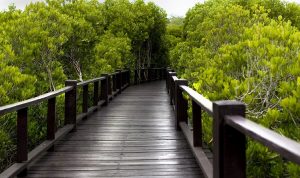 5 Tempat Wisata Romantis di Jakarta, Pas untuk Kencan!