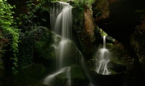 Daftar 5 Tempat Wisata Alam di Bogor, Sejuk dan Menenangkan!