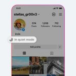 Cara Mengaktifkan Quite Mode di Akun Instagram
