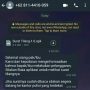 Tampilan chat penipuan surat tilang || Foto: Istimewa || 5W1HINDONESIA.ID
