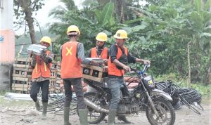 Dua Pekon di Kabupaten Tanggamus Mulai Nikmati Listrik, Berikut Upaya PLN