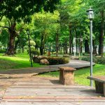 Kebun Raya Bogor: Jam Buka, Harga Tiket, & Aktivitas Serunya