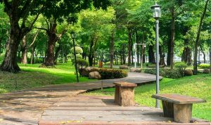 Kebun Raya Bogor: Jam Buka, Harga Tiket, & Aktivitas Serunya