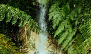 Curug Leuwi Hejo: Harga Tiket, Jam Buka, dan Wisata Menariknya