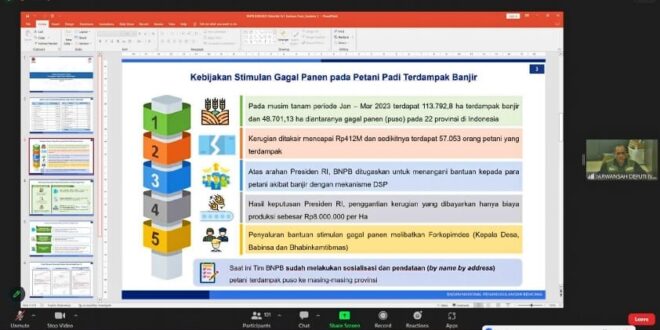 Kebijakan stimulan gagal panen pada petani padi terdampak banjir || Foto: Istimewa
