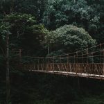 Situ Gunung Suspension Bridge: Lokasi, Jam Buka, & Harga Tiket