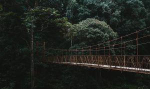 Situ Gunung Suspension Bridge: Lokasi, Jam Buka, & Harga Tiket