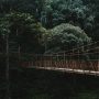 Situ Gunung Suspension Bridge