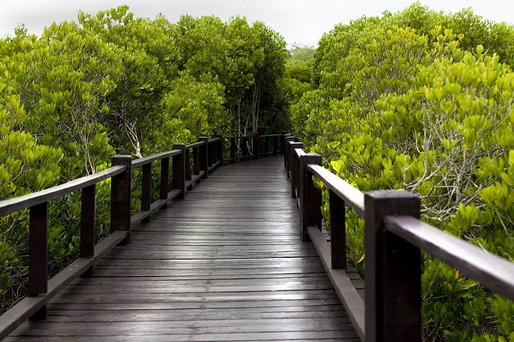 Taman Wisata Alam Angke