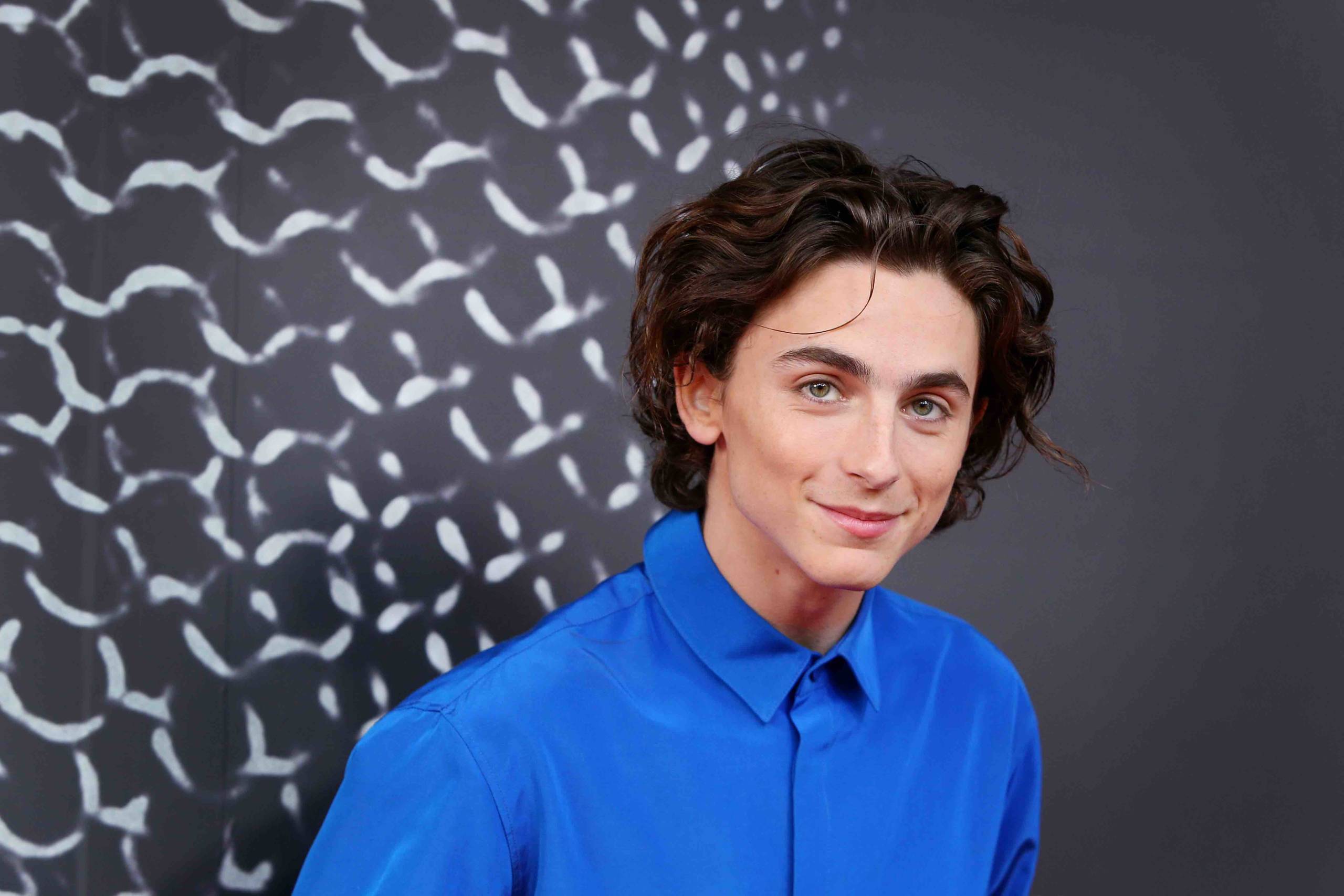 film terbaik Timothee Chalamet