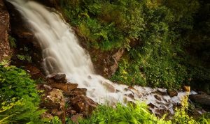 Curug Nangka Bogor: Harga Tiket, Jam Buka, dan Daya Tariknya