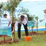 Pemprov Lampung Lakukan Penanaman dan Penyerahan Bibit Pohon di Kawasan Wisata Krakatau Park