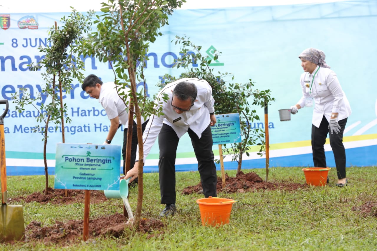 Pemerintah Provinsi Lampung melakukan penanaman dan penyerahan bibit pohon di Kawasan Wisata Krakatau Park Bakauheni Harbour City, Lampung Selatan || Foto: Adpim Pemprov Lampung