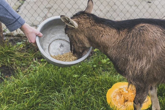 harga tiket Nicole's River Park