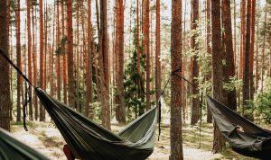 Wisata Batu Kuda: Harga Tiket, Jam Buka, & Daya Tariknya