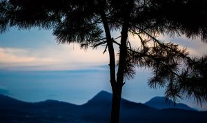Gunung Putri Lembang: Harga Tiket, Jam Buka, & Daya Tariknya