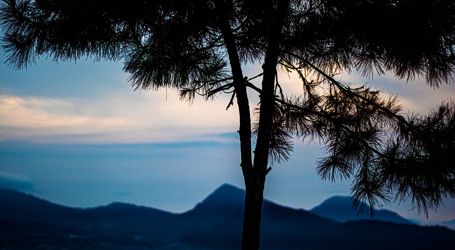 Gunung Putri Lembang