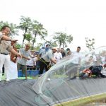 Gubernur Lampung Panen Perdana Udang Vaname di PKK Agropark Lampung