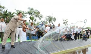 Gubernur Lampung Panen Perdana Udang Vaname di PKK Agropark Lampung