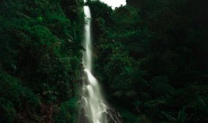 Daya Tarik Curug Sikarim, Lokasi, dan Harga Tiket Masuknya