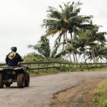 Jam Buka Agrowisata Gunung Mas, Harga Tiket, dan Daya Tariknya