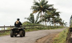 Jam Buka Agrowisata Gunung Mas, Harga Tiket, dan Daya Tariknya