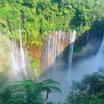 Pesona Air Terjun Madakaripura, Tiket Masuk, dan Jam Bukanya