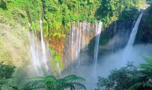 Pesona Air Terjun Madakaripura, Tiket Masuk, dan Jam Bukanya