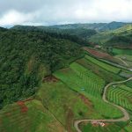 Tiket Masuk Bukit Senyum, Jam Buka, dan Daya Tarik Wisatanya