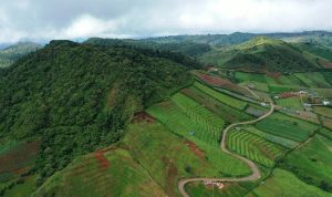 Tiket Masuk Bukit Senyum, Jam Buka, dan Daya Tarik Wisatanya