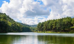 Wisata Telaga Remis Kuningan: Harga Tiket, Jam Buka, & Daya Tariknya