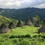 Daya Tarik Wae Rebo, Lokasi Wisata, dan Tarif Masuknya