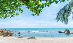 Harga Tiket Pantai Wediombo, Jam Buka, dan Pesona Wisatanya