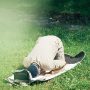 keutamaan sujud tilawah
