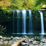 Wisata Air Terjun Kedung Pedut: Jam Buka, Tiket, dan Daya Tarik