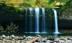 Wisata Air Terjun Kedung Pedut: Jam Buka, Tiket, dan Daya Tarik