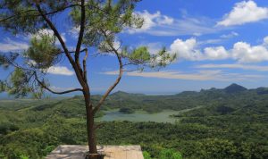 Wisata Kalibiru National Park: Tiket, Jam Buka, & Daya Tariknya