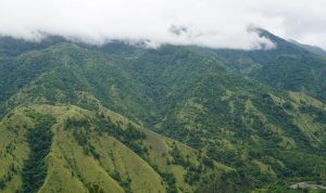 Jalur Pendakian Gunung Dempo, Lokasi dan Harga Tiketnya