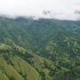 jalur pendakian Gunung Dempo