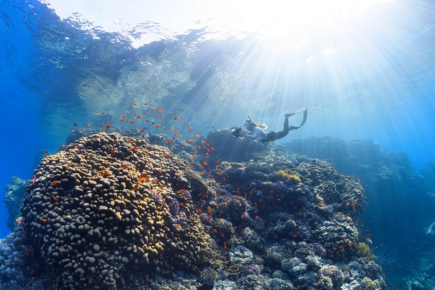 jam buka Taman Nasional Bunaken