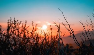 Wisata Mangly Sky View: Harga Tiket, Jam Buka, dan Pesonanya