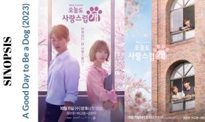 Sinopsis K-Drama: A Good Day to Be a Dog & Daftar Pemainnya